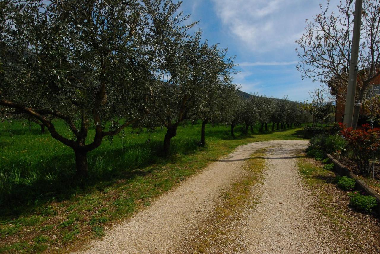 Casa Fiorelli Passaggio di Assisi Exterior foto